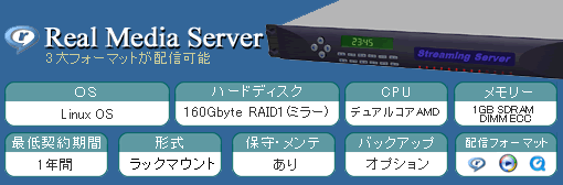 Real Media Server
